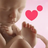 Preggers: Pregnancy & Baby App